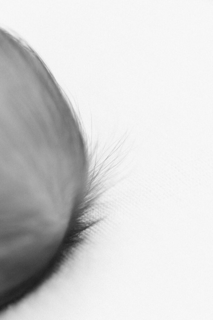 a close up photo of a baby's hair.