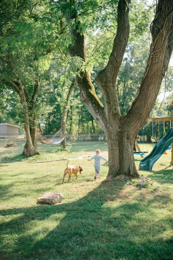 Your August Photo Scavenger Hunt A young child running through a backyard toward a big tree with a dog alongside. Golden hour photography scavenger hunt inspiration