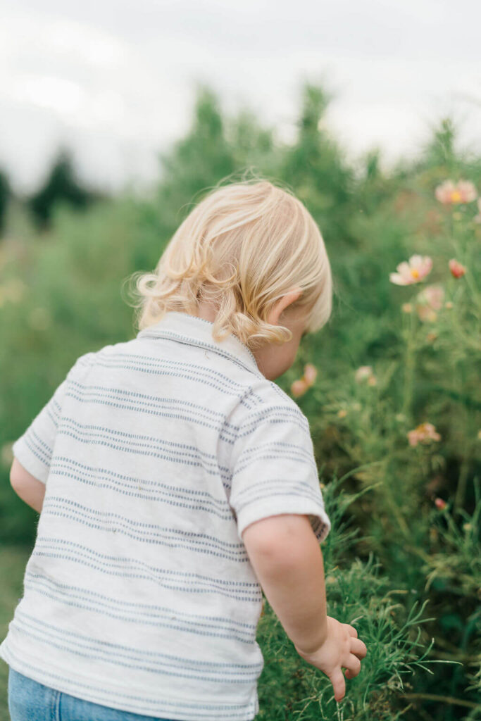 Beautiful Flower Farm Family Photos | Pretty Bird Farm, NJ Toddler with blonde curls reaching toward pink cosmos flowers in the garden